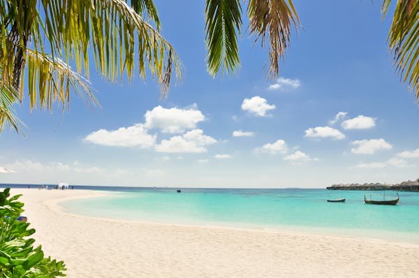 Wanderlux Travel